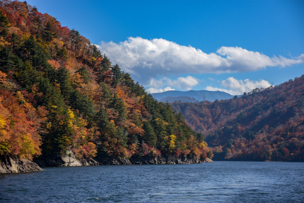 The view of the natural fall colors during the cruise.